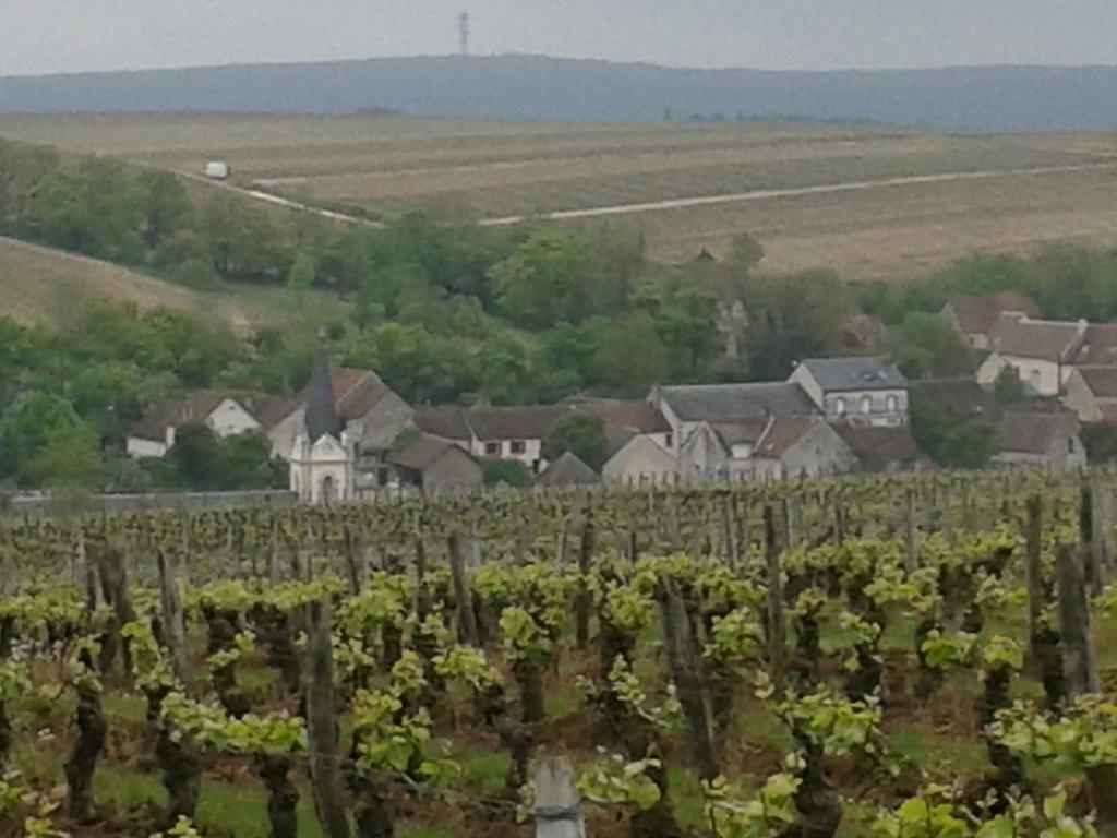 Le Clos Saint Martin Hotel Sancerre Luaran gambar